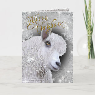 Merry Christmas Beautiful Angora Goat   BabyGirl Holiday Card