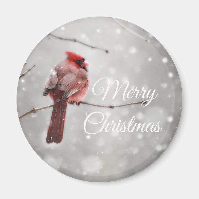 Merry Christmas Beautiful Cardinal Magnet (Front)