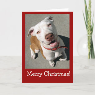 Merry Christmas Best Freind Holiday Card