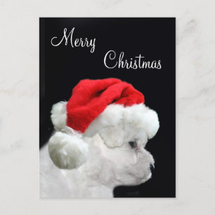 Merry Christmas Bichon Frise Holiday Postcard