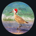 Merry Christmas Bird in Santa Hat on Beach Sticker<br><div class="desc">Christmas sticker with a water bird wearing a red Santa hat,  and walking on a tropical and sandy beach.</div>