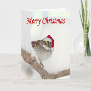 Merry Christmas bird with Santa hat greeting card