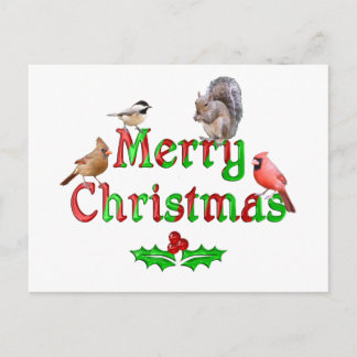 Merry Christmas Birds and Squirrel Holiday Postcard
