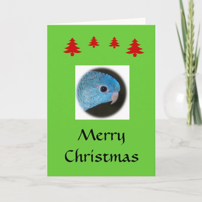 Merry Christmas - Blank Card (Front)