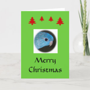 Merry Christmas - Blank Card