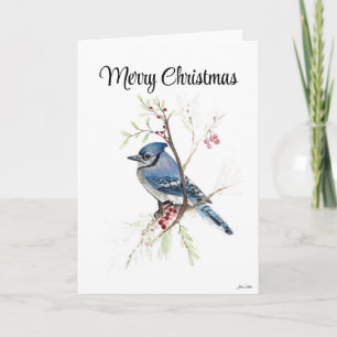 Merry Christmas Blue Jay Holiday Card