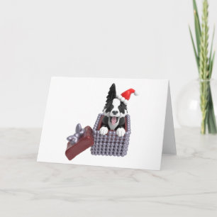 Merry Christmas Border Collie Card