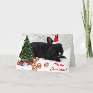 Merry Christmas Bunny Rabbit in a Santa Hat Card