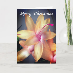 *~* Merry Christmas Cactus Flower Customise Holiday Card