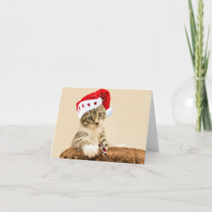 Merry Christmas.  Card