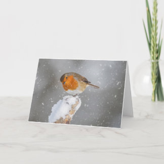 Merry Christmas Card