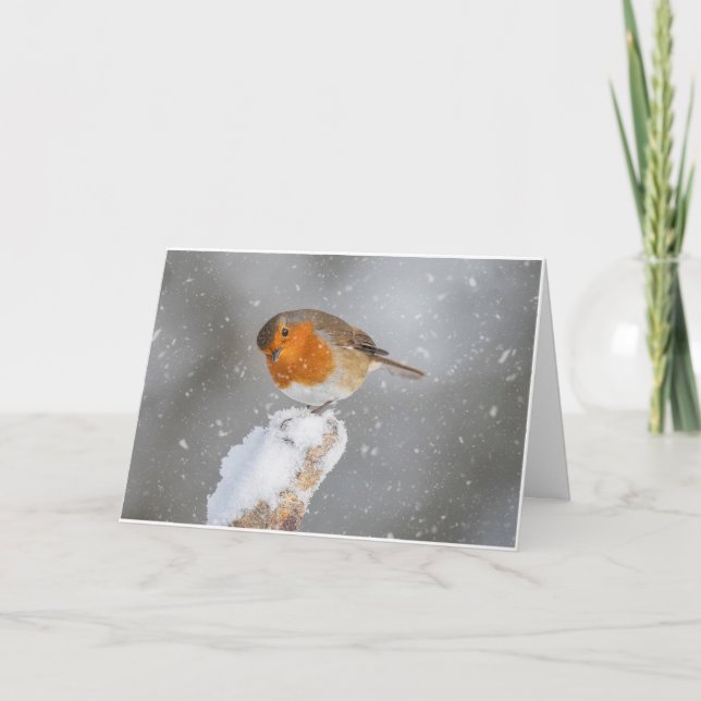 Merry Christmas Card (Front)
