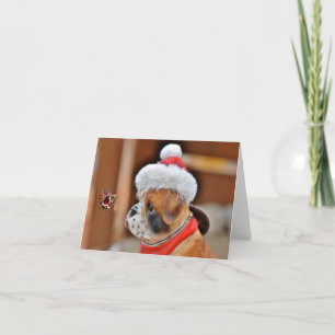 Merry Christmas.  Card