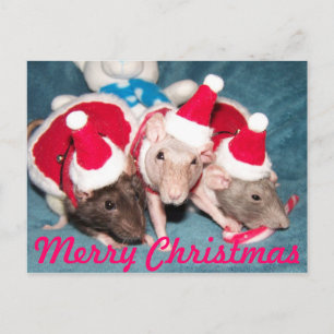 Merry Christmas Card