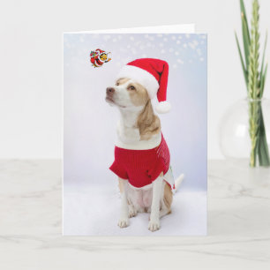 Merry Christmas.  Card