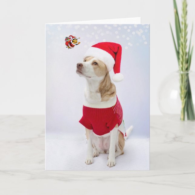 Merry Christmas.  Card (Front)