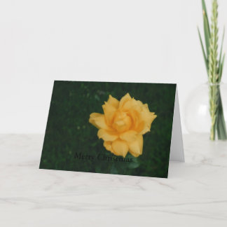 Merry Christmas(Card) Holiday Card