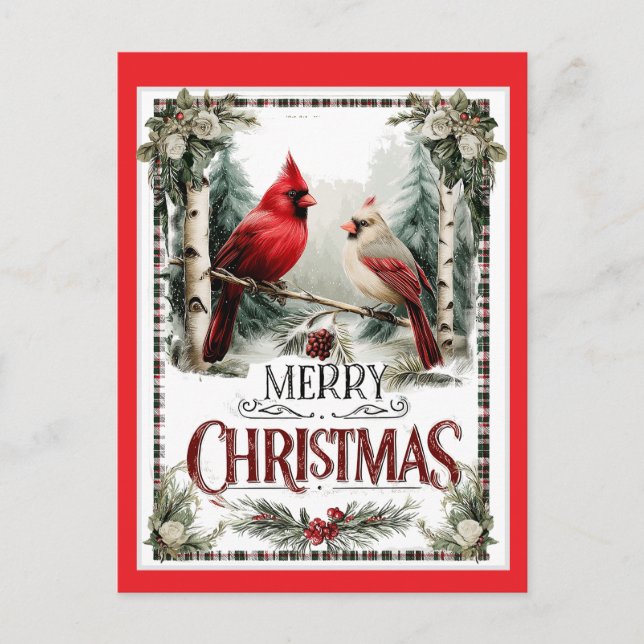 Merry Christmas Cardinal Illustration Postcard (Front)