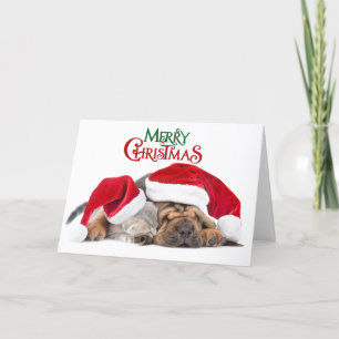 Merry Christmas cat and dog Holiday Card
