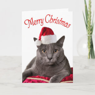 Merry Christmas,  Cat Christmas Card