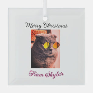 Merry Christmas cat dog pet animal love photo Glass Tree Decoration