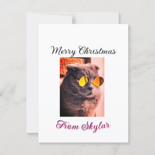 Merry Christmas cat dog pet animal love photo Postcard