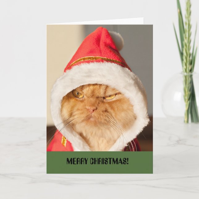 Merry Christmas Cat Holiday Card (Front)