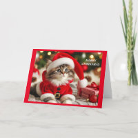 Merry Christmas Cat