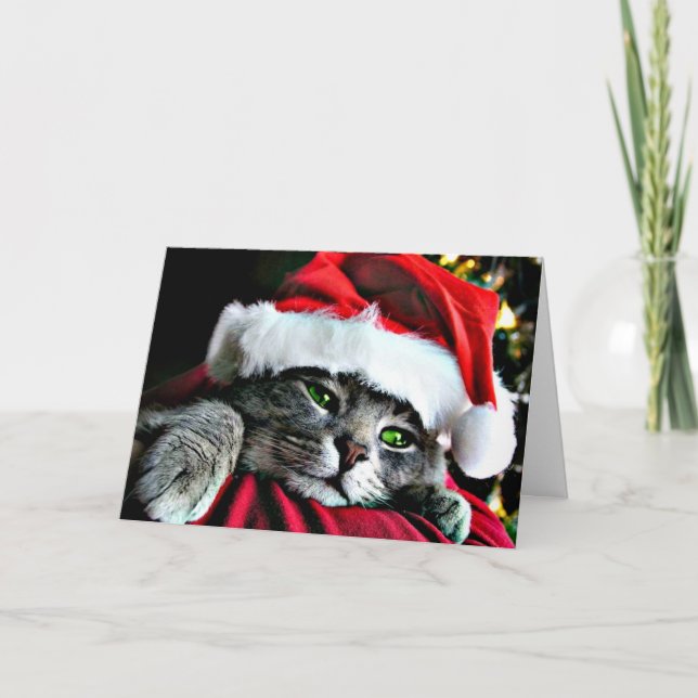 Merry Christmas Cat Holiday Card (Front)