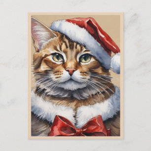 Merry Christmas Cat Postcard