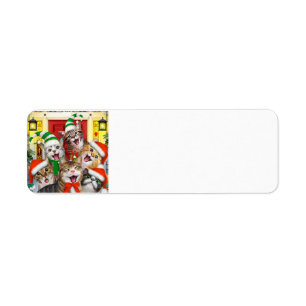 Merry Christmas Cats Holiday address label Return Address Label