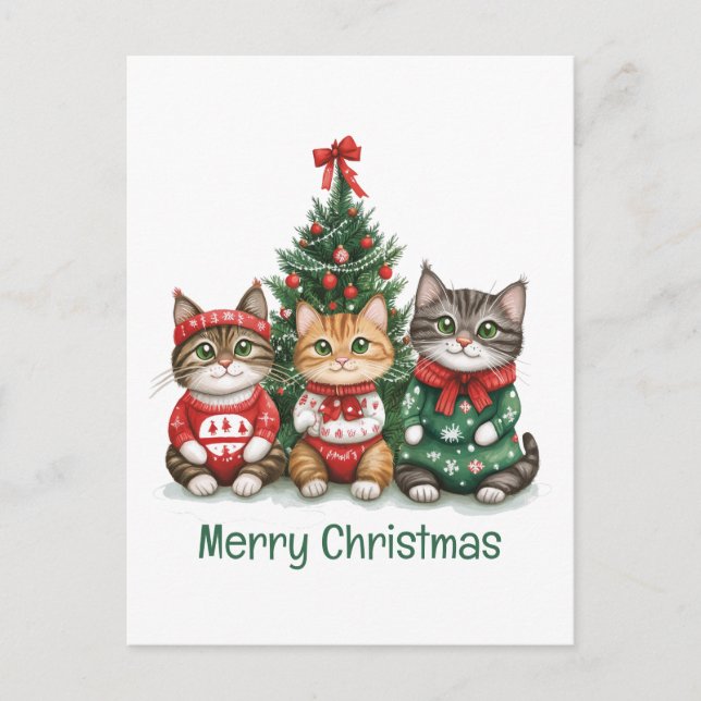 Merry Christmas Cats Postcard (Front)