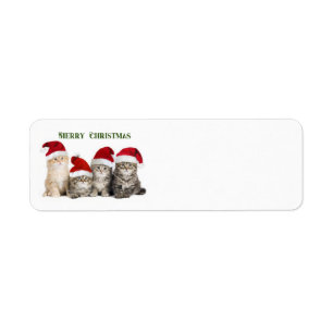 Merry Christmas Cats Return Address Label