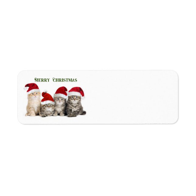 Merry Christmas Cats Return Address Label (Front)