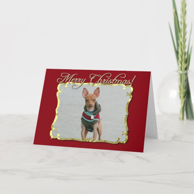 Merry Christmas Chihuahua dog Holiday Card (Front)