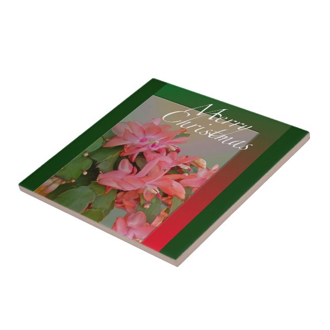 Merry Christmas Christmas Cactus Flowers Ceramic Tile (Side)