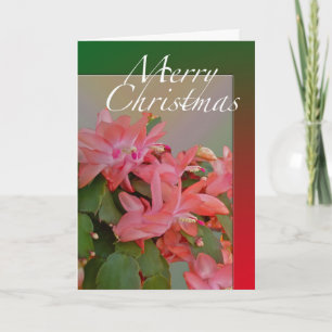 Merry Christmas Christmas Cactus Flowers Holiday Card