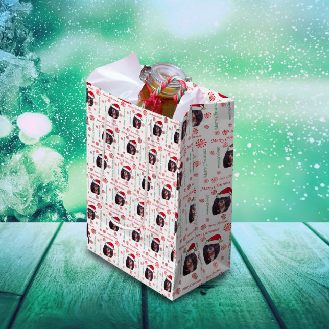 Merry Christmas CKCS Santa Gift Bag (Creator Uploaded)