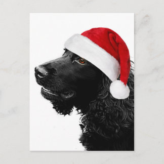 Merry Christmas Cocker Holiday Postcard