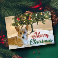 Merry Christmas Corgi Beautiful Dog Under Tree