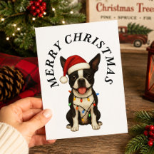 Merry Christmas Cute Boston Terrier Santa Hat Dog