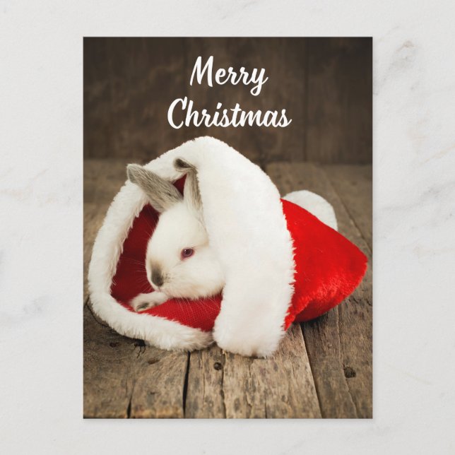Merry Christmas Cute Bunny in Santa Hat Postcard (Front)