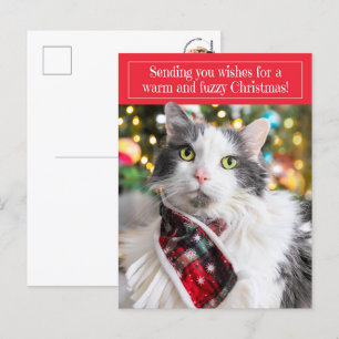 Merry Christmas Cute Cat in Holiday Scarf Postcard
