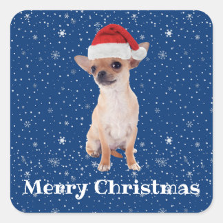 Merry Christmas Cute Chihuahua Santa 2 Square Sticker