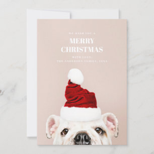 Merry Christmas. Cute dog. Animal Santa Claus Holiday Card