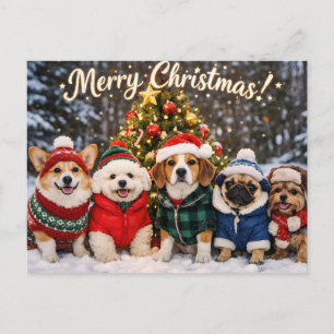 Merry Christmas Cute Dogs and Christmas Tree  Postcard