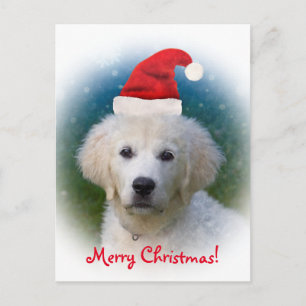 Merry Christmas!   Cute Golden Retriever Puppy Holiday Postcard