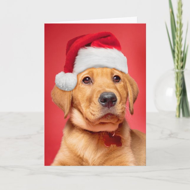 Merry Christmas Cute Labrador Puppy in Santa Hat Holiday Card (Front)