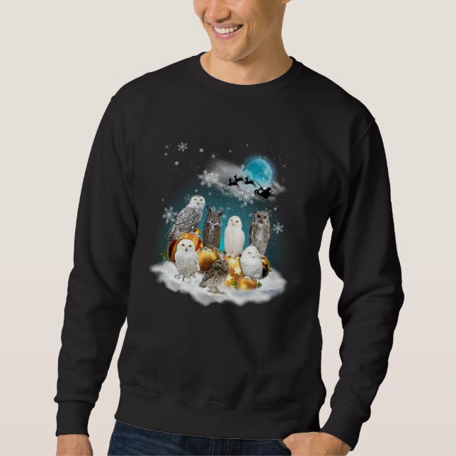 Merry Christmas Cute Owl Costume For Owl Sweatshirt (Front)
