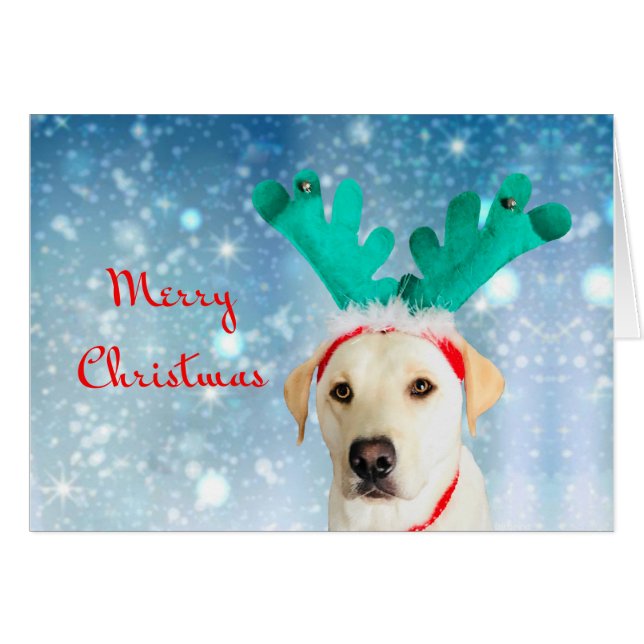 Merry Christmas Cute Pet Dog Lab with Antlers (Front Horizontal)